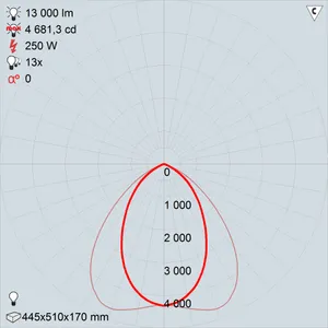 ро29-250-001 прометей