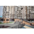 armadasvet_257