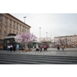 armadasvet_181
