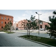 armadasvet_23