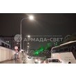 img_ARMADASVET-3179