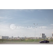 img_ARMADASVET-3395 img_ARMADASVET-3395