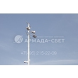 img_ARMADASVET-3397 img_ARMADASVET-3397