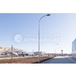 armadasvet_IMG_0314