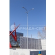 img_ARMADASVET-3722
