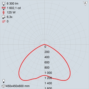 РСП50-125-001 pos 6
