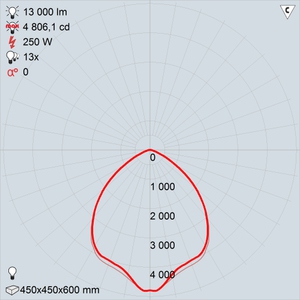 РСП50-250-001 КСС типа Д