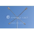 armadasvet_IMG_0334