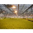 74131c79-bdbf-4993-8a32-00f55afcc6fc_tk_karel_lo_jsp30-400-010_lamp-reflux