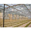 cf030576-b4c9-4db8-8e75-4e5cf9fb6cfe_tk_teplich_saransk_rassada_jsp330-600-015