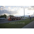 img_ARMADASVET-4025 img_ARMADASVET-4025
