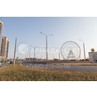 img_ARMADASVET-4116 img_ARMADASVET-4116