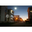 img_ARMADASVET-5809 img_ARMADASVET-5809