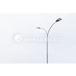 armadasvet_503