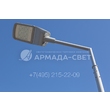 armadasvet_IMG_0197