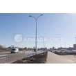 armadasvet_IMG_0216