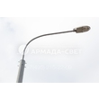 armadasvet_IMG_3917