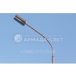 armadasvet_IMG_5427
