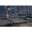 armadasvet_IMG_6604