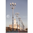 armadasvet_419