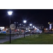 img_ARMADASVET-4842 img_ARMADASVET-4842