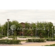 img_ARMADASVET-4877 img_ARMADASVET-4877