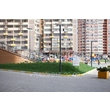 armadasvet_240