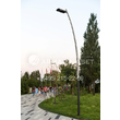 MTF_8388_web
