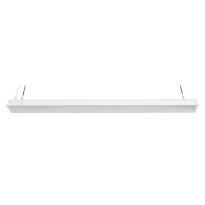 LINE.P 33