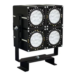 DS-LFL-100-4x12